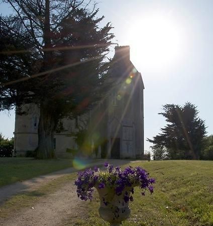 مبيت وإفطار كاديلاك Chateau Fauchey المظهر الخارجي الصورة